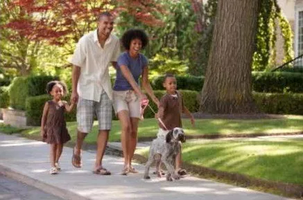 A family walking their dog through a leafy neighbourhood.